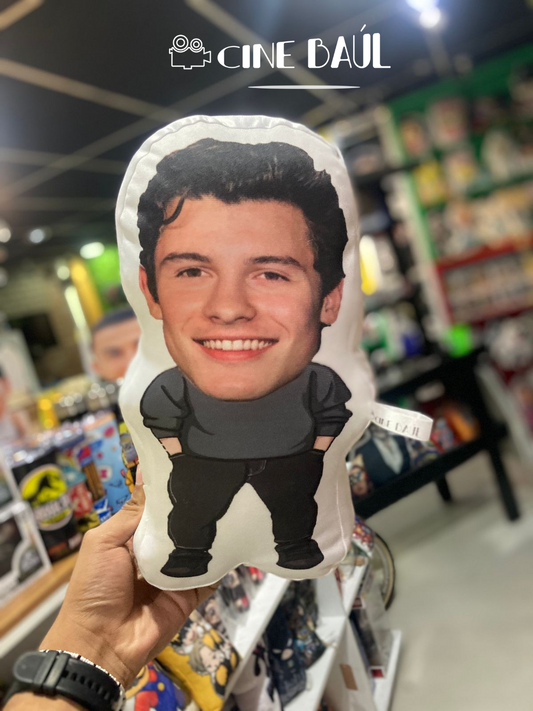 Almohada Shawn Mendes Famossito