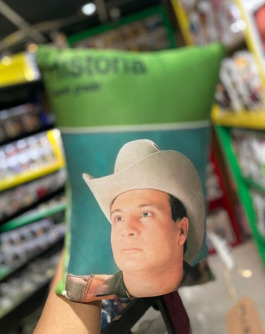 Almohada Valentín Elizalde Historia
